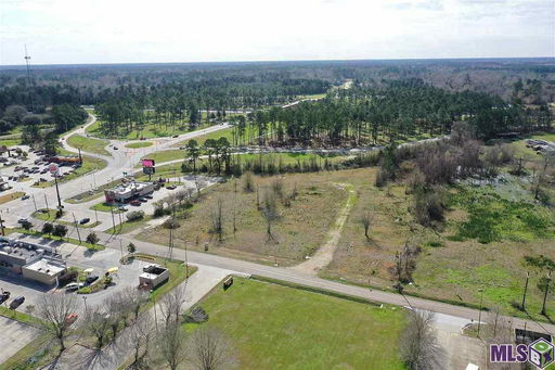 Media Image 2