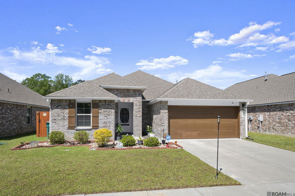 Media Image 1