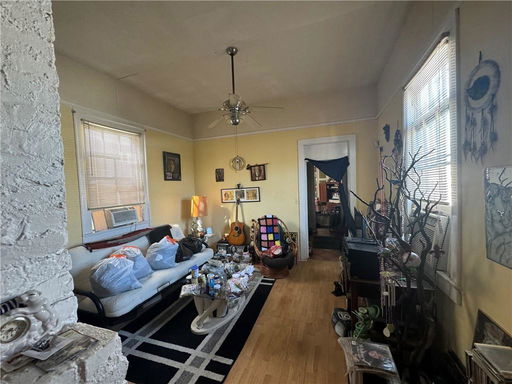 Media Image 3