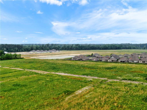Media Image 2