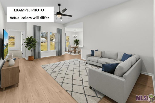 Media Image 2