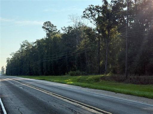Media Image 2