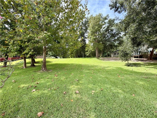 Media Image 3