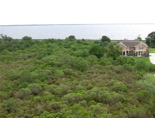 Media Image 3