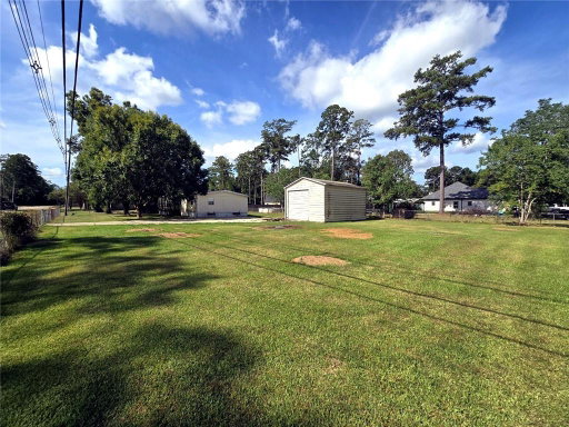 Media Image 2