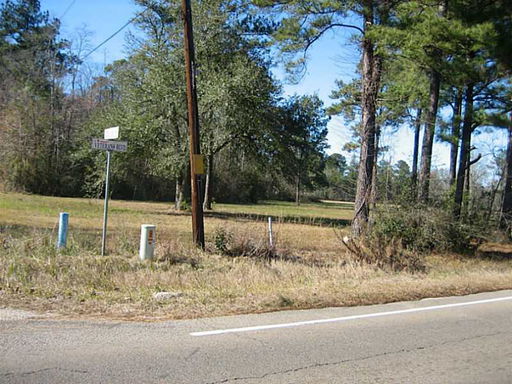 Media Image 2