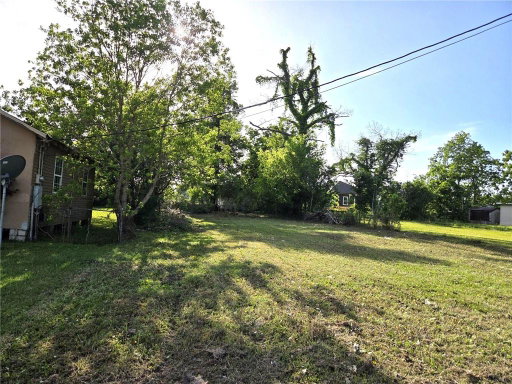 Media Image 3