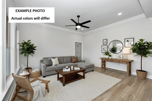 Media Image 2