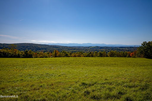 Media Image 3