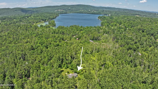 Media Image 2