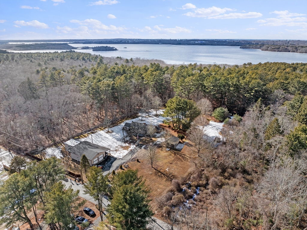 Media Image 1