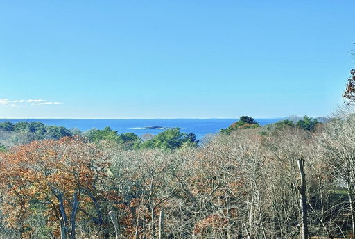 Media Image 3