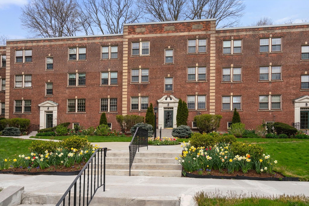 Media Image 1