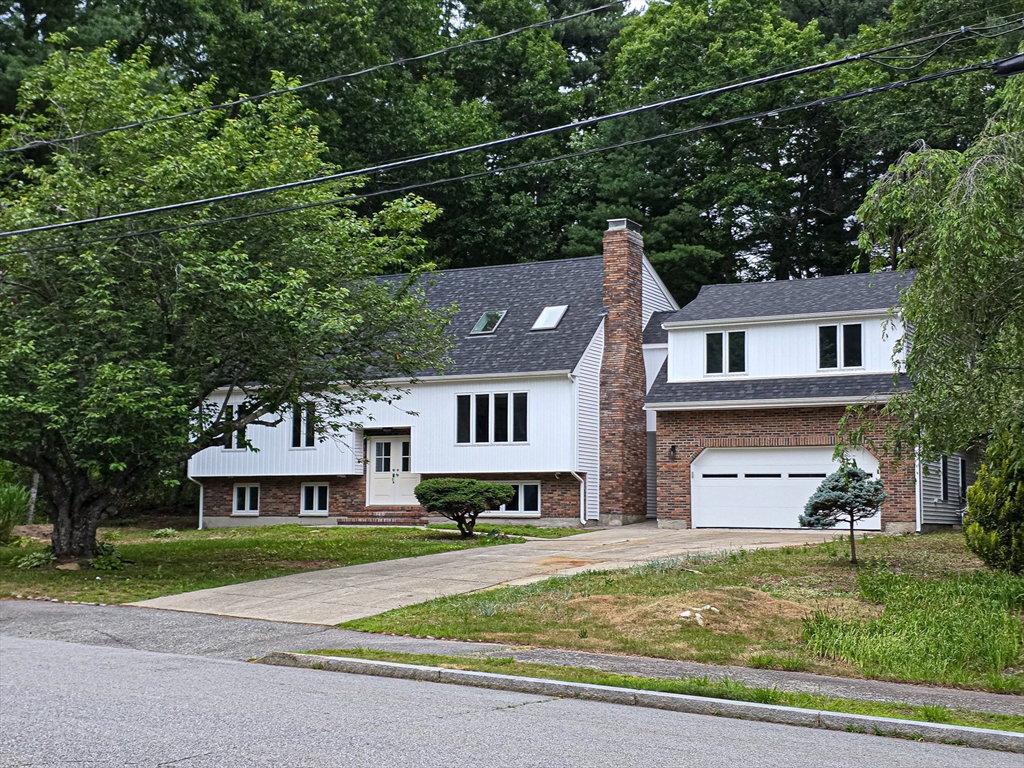 Media Image 1
