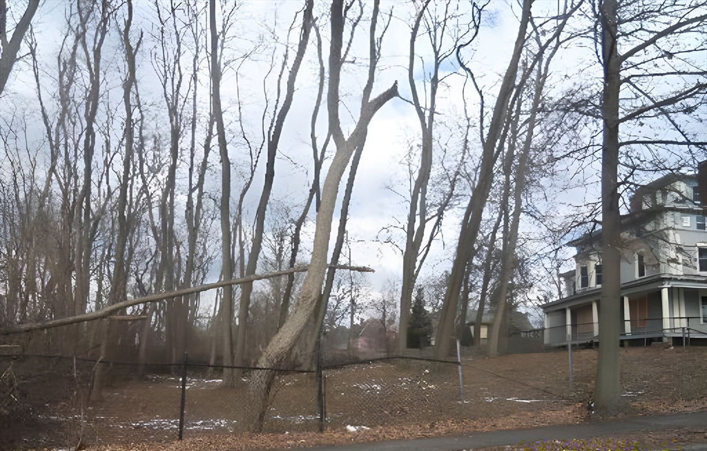 Image Unavailable