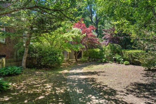 Media Image 3