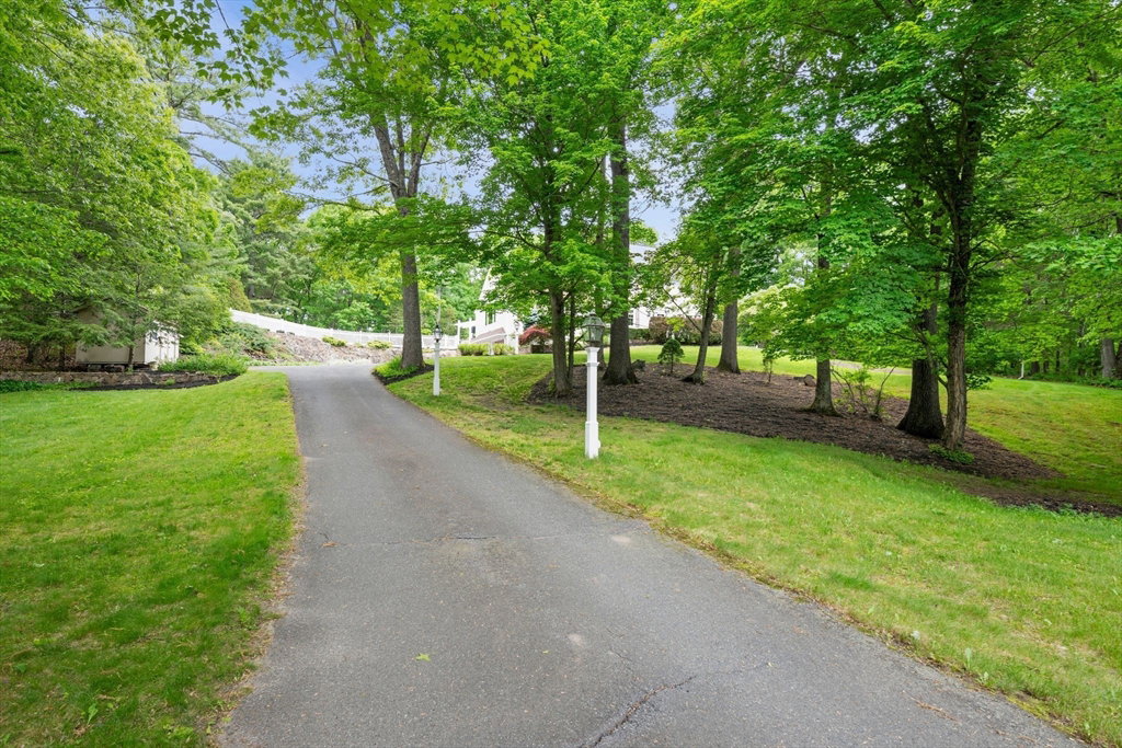 Media Image 1