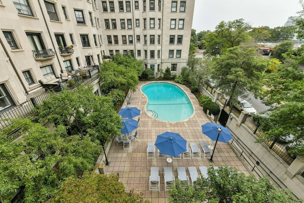 Media Image 1