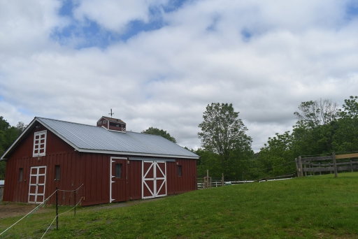 Media Image 3
