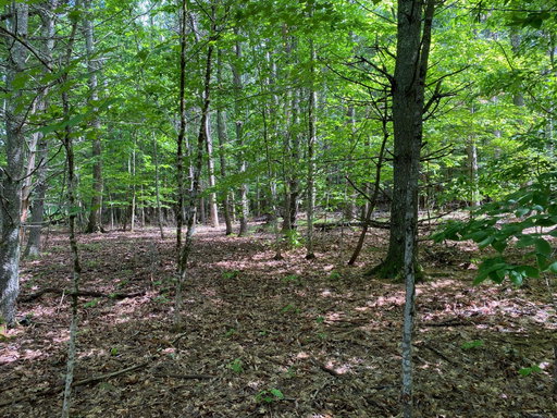Media Image 3