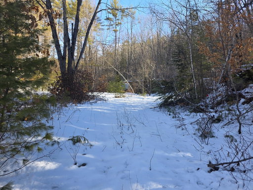 Media Image 2