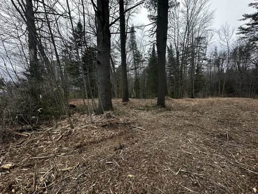 Media Image 3