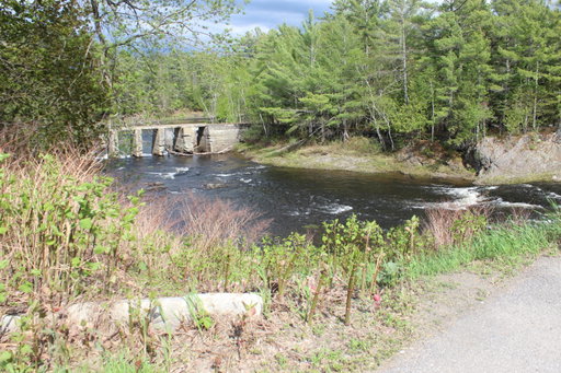 Media Image 2