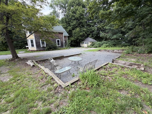 Media Image 3