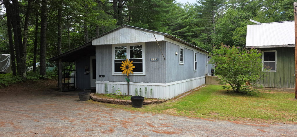 Media Image 1