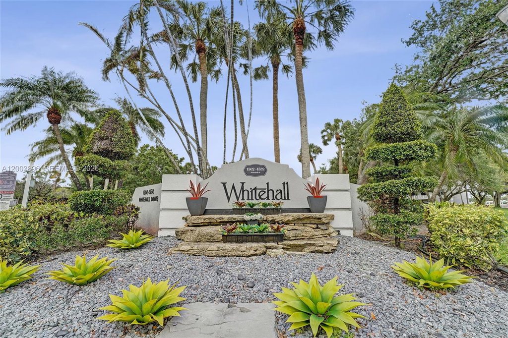 Media Image 1