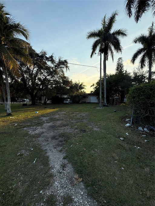 Media Image 2