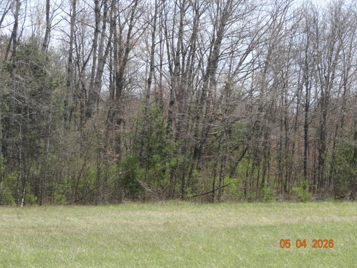Media Image 2