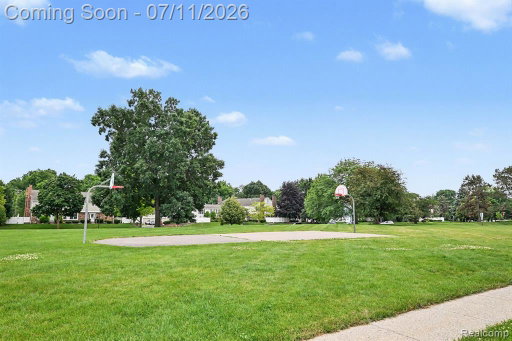 Media Image 3