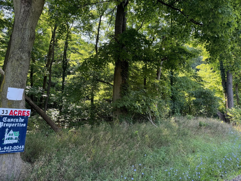 Image Unavailable