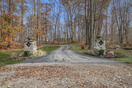 Media Image 3