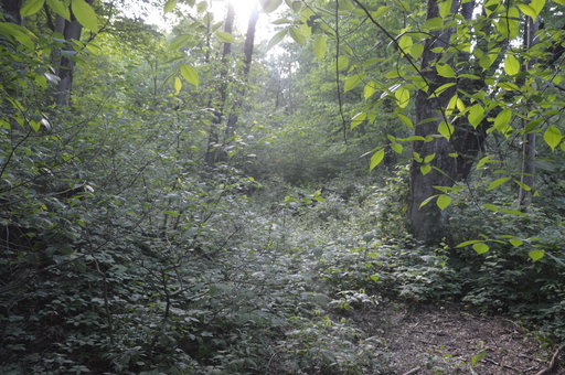 Media Image 2