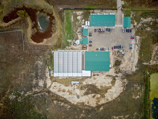 Media Image 2
