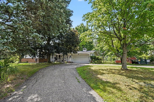 Media Image 2