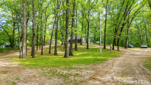 Media Image 3