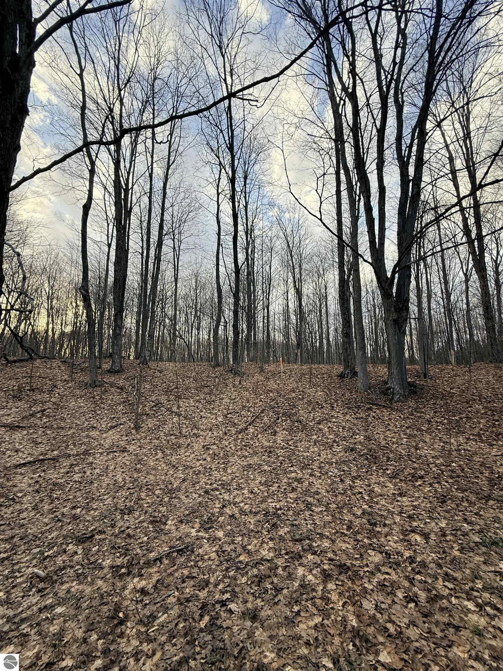 Image Unavailable
