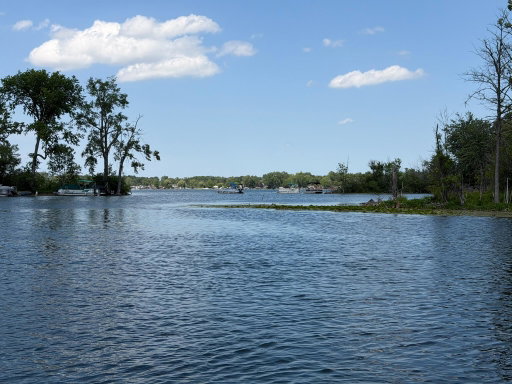 Media Image 2
