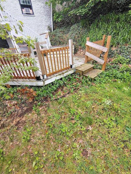 Media Image 3