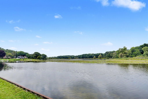 Media Image 3