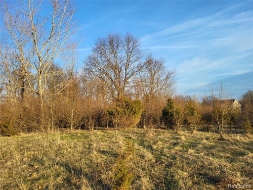 Media Image 2