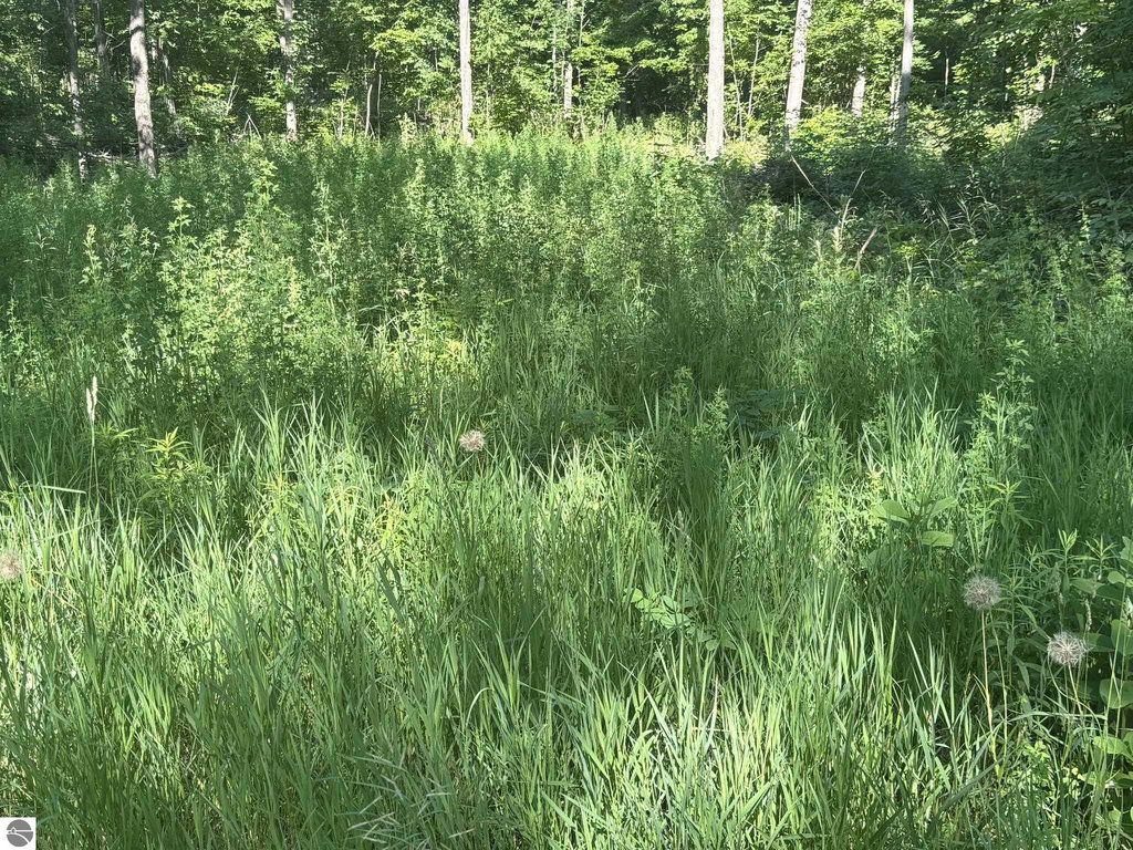 Image Unavailable