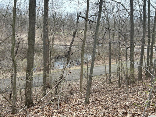 Media Image 3