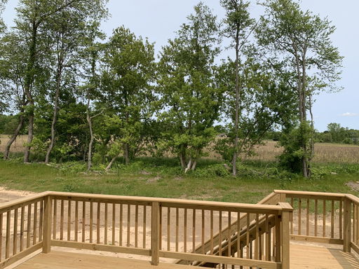 Media Image 2
