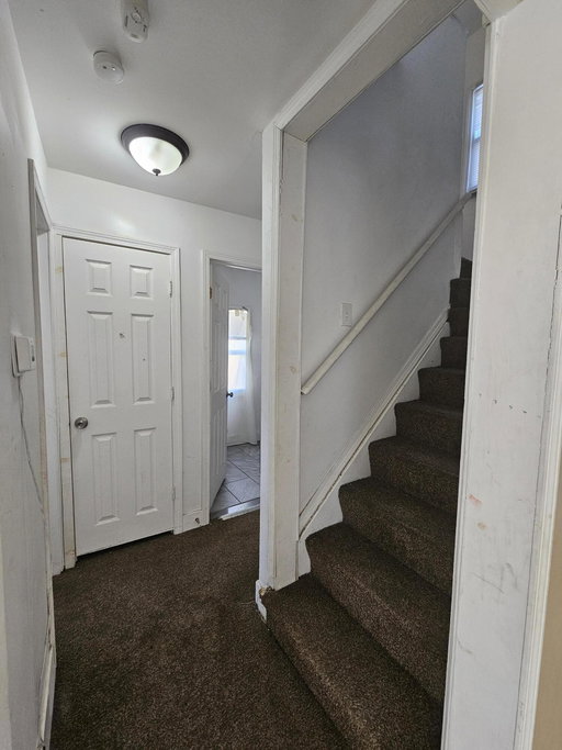 Media Image 3