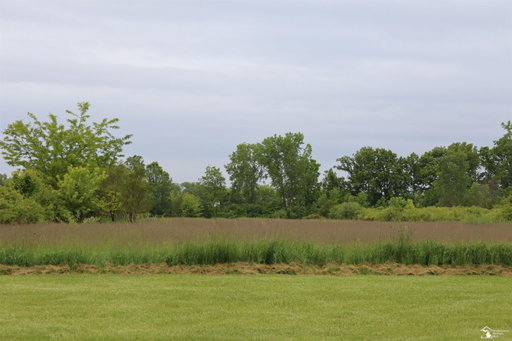 Media Image 3