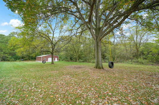 Media Image 3